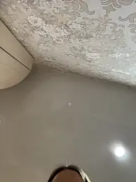 ElliRose webcam stripchat model stream image