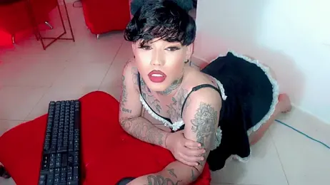 little_star_porn webcam stripchat model stream image