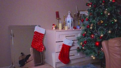 LareeChanchuan webcam model stream image