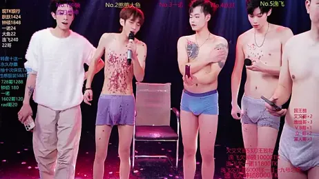 BOYGAYHOUSE1 webcam model stream image