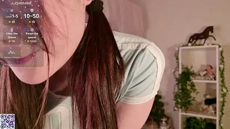 LeraKit webcam model stream image