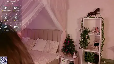 LeraKit webcam model stream image