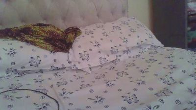 Black_pie webcam model stream image