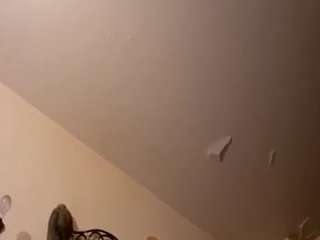 mikeyjoe1456 webcam model stream image