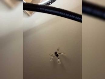 HellMor webcam bongacams model stream image