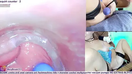 MaryBrook1 webcam model stream image