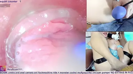 MaryBrook1 webcam model stream image