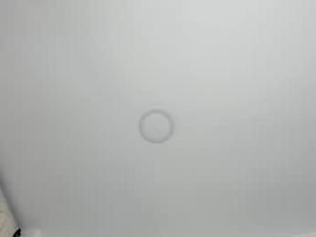 sarita_loven webcam model stream image