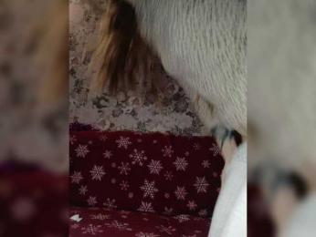 ---kisa25_ webcam model stream image