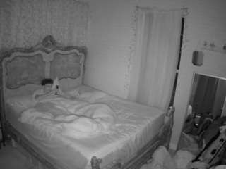 voyeurcam-hornyhostel-03 webcam model stream image