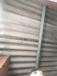 DannaDooll99 webcam model stream image