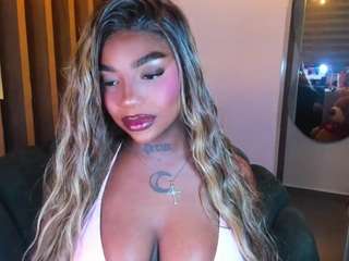 teerry webcam model stream image