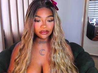 teerry webcam model stream image