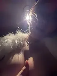 winter11 webcam model stream image