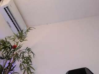 milahal webcam model stream image