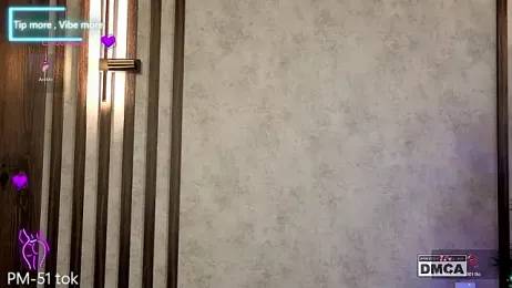 Holl1Would webcam model stream image