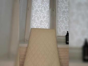 Anesteishen webcam model stream image