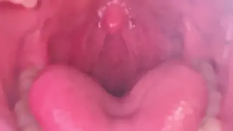 LT-333 webcam model stream image