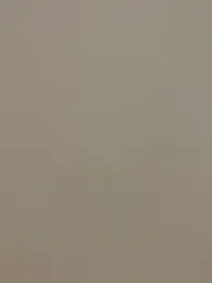 toobarry webcam stripchat model stream image