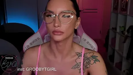 SibylVex webcam model stream image