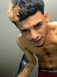 Pingasaboy20 webcam model stream image