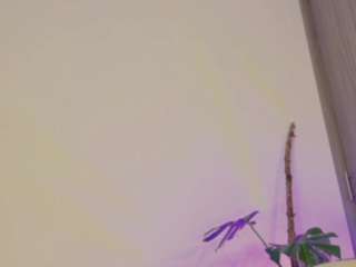 lindseymoss webcam model stream image