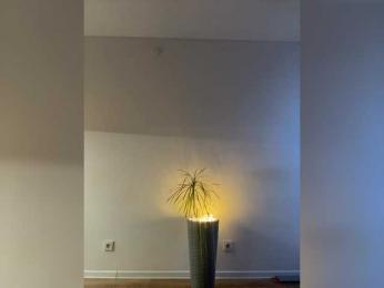 NotBellucci webcam bongacams model stream image