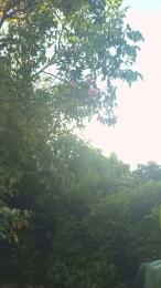 chupala_puto webcam model stream image