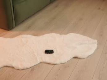 _meganmeow_ chaturbate stream image