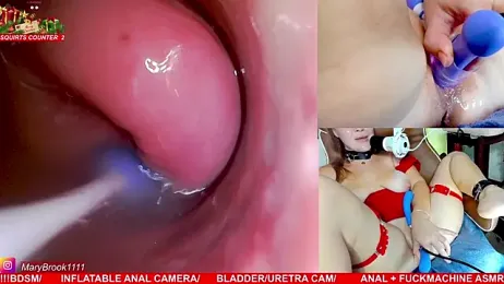 MaryBrook1 stripchat stream image